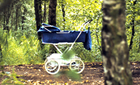 pram in forest